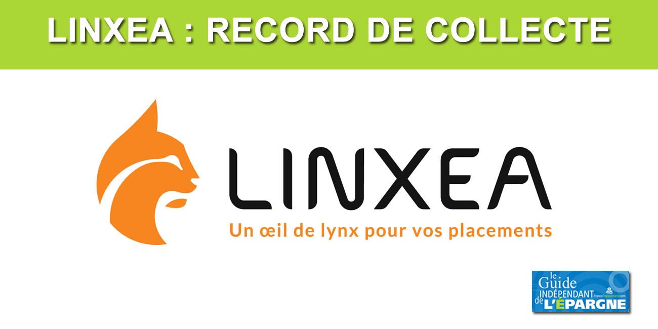 Assurance vie : Linxea enregistre une collecte record sur les fonds euros en 2025 Assurance vie : Linxea enregistre une collecte record sur les fonds euros en 2025