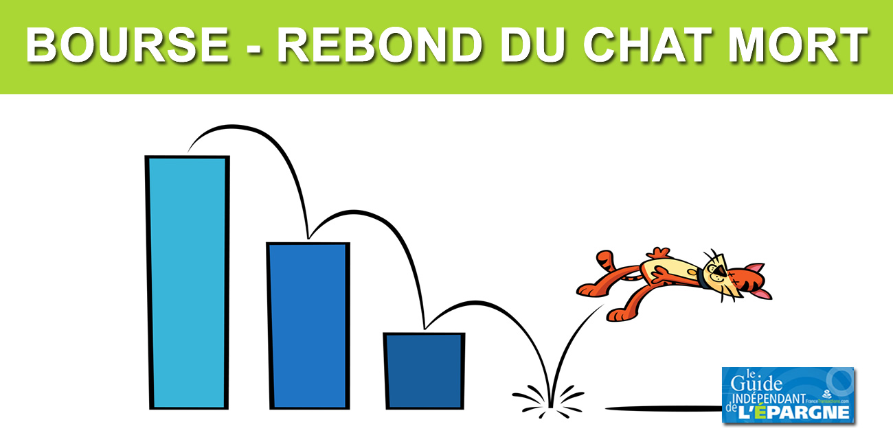 Bourse : Fort rebond du CAC40 (+8.39%), comme une vague odeur de chat mort... Bourse : Fort rebond du CAC40 (+8.39%), comme une vague odeur de chat mort...