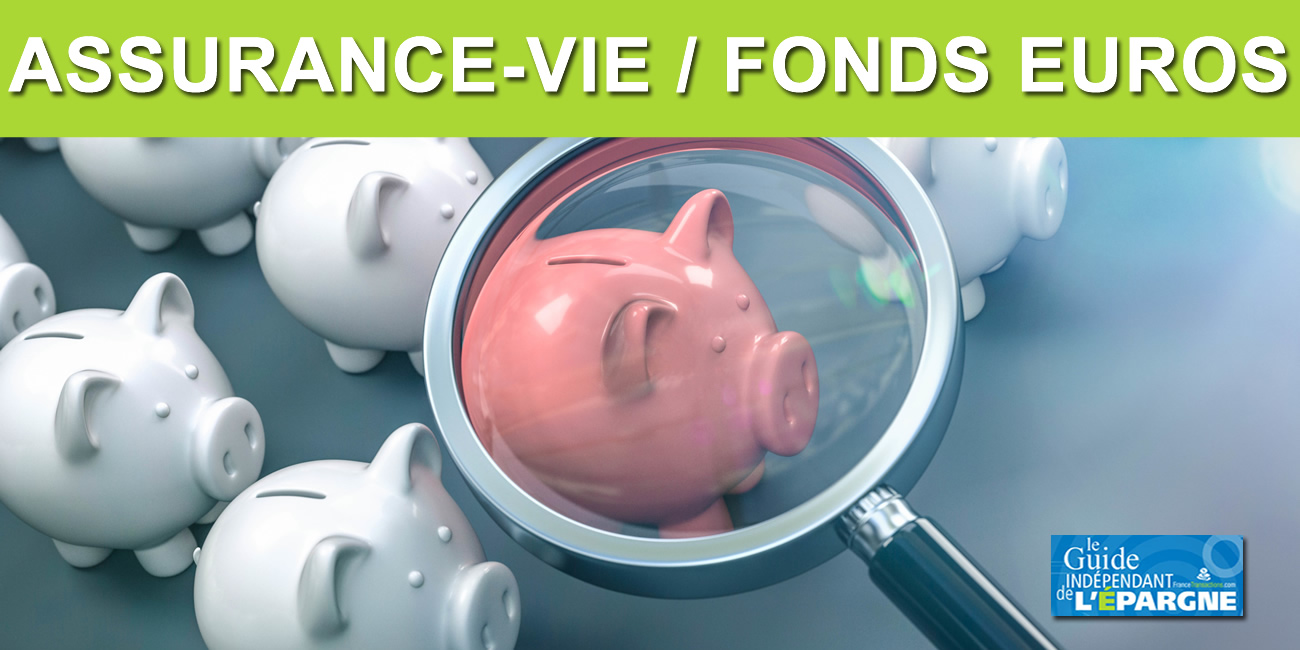 Assurance-vie / fonds euros : ces provisions impressionnantes (PPB) sur les fonds euros les moins performants du marché Assurance-vie / fonds euros : ces provisions impressionnantes (PPB) sur les fonds euros les moins performants du marché