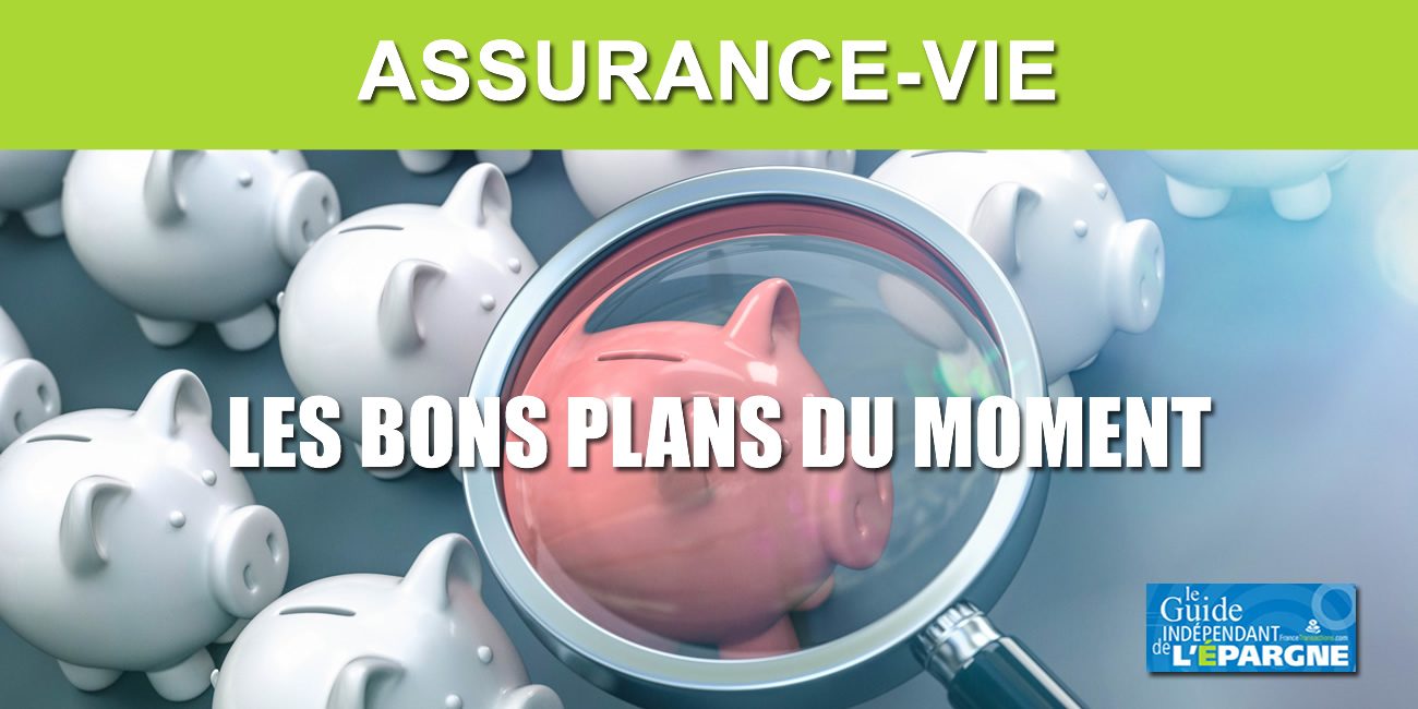 Placement-direct Vie : jusqu'à 600 euros offerts ! Placement-direct Vie : jusqu'à 600 euros offerts !
